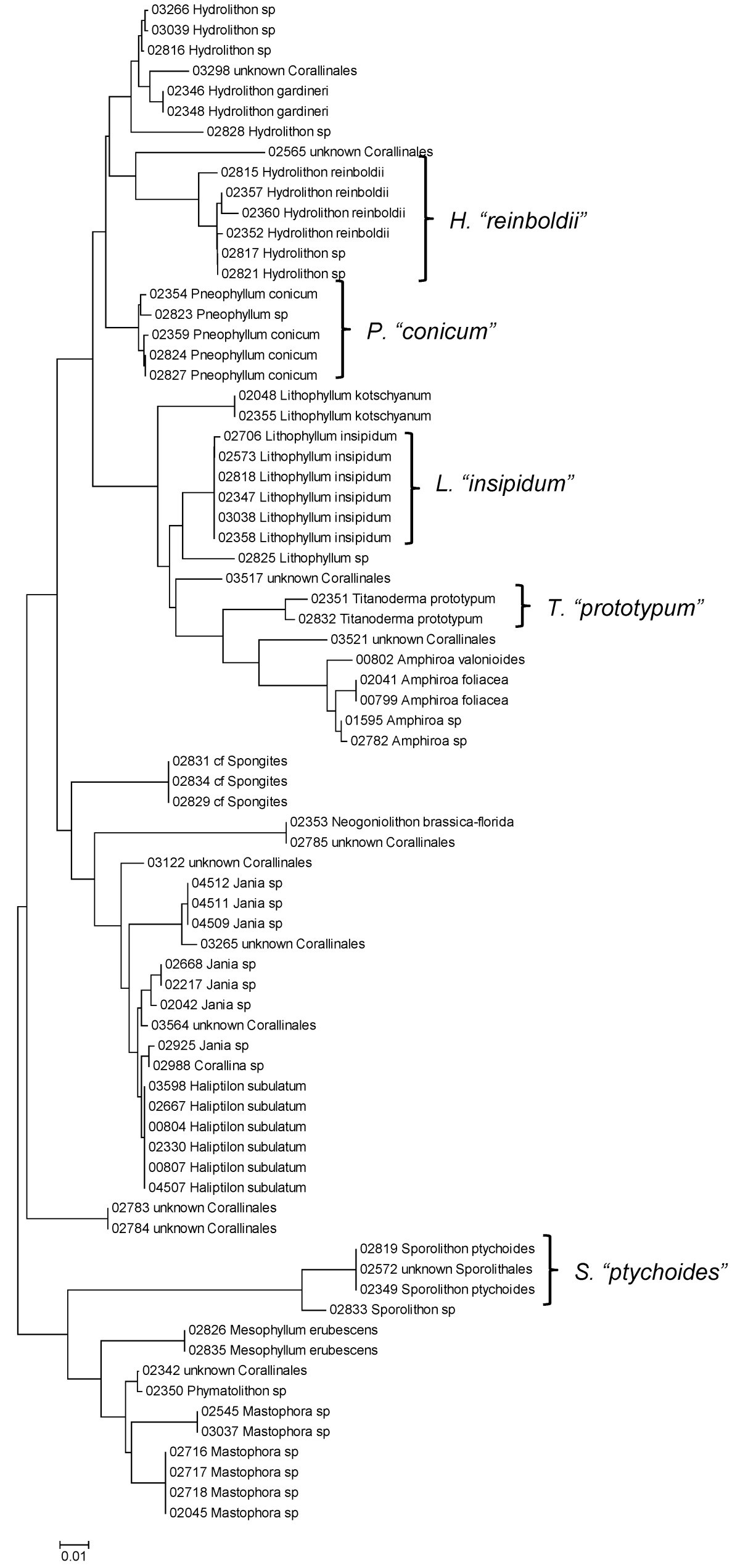 Figure 13