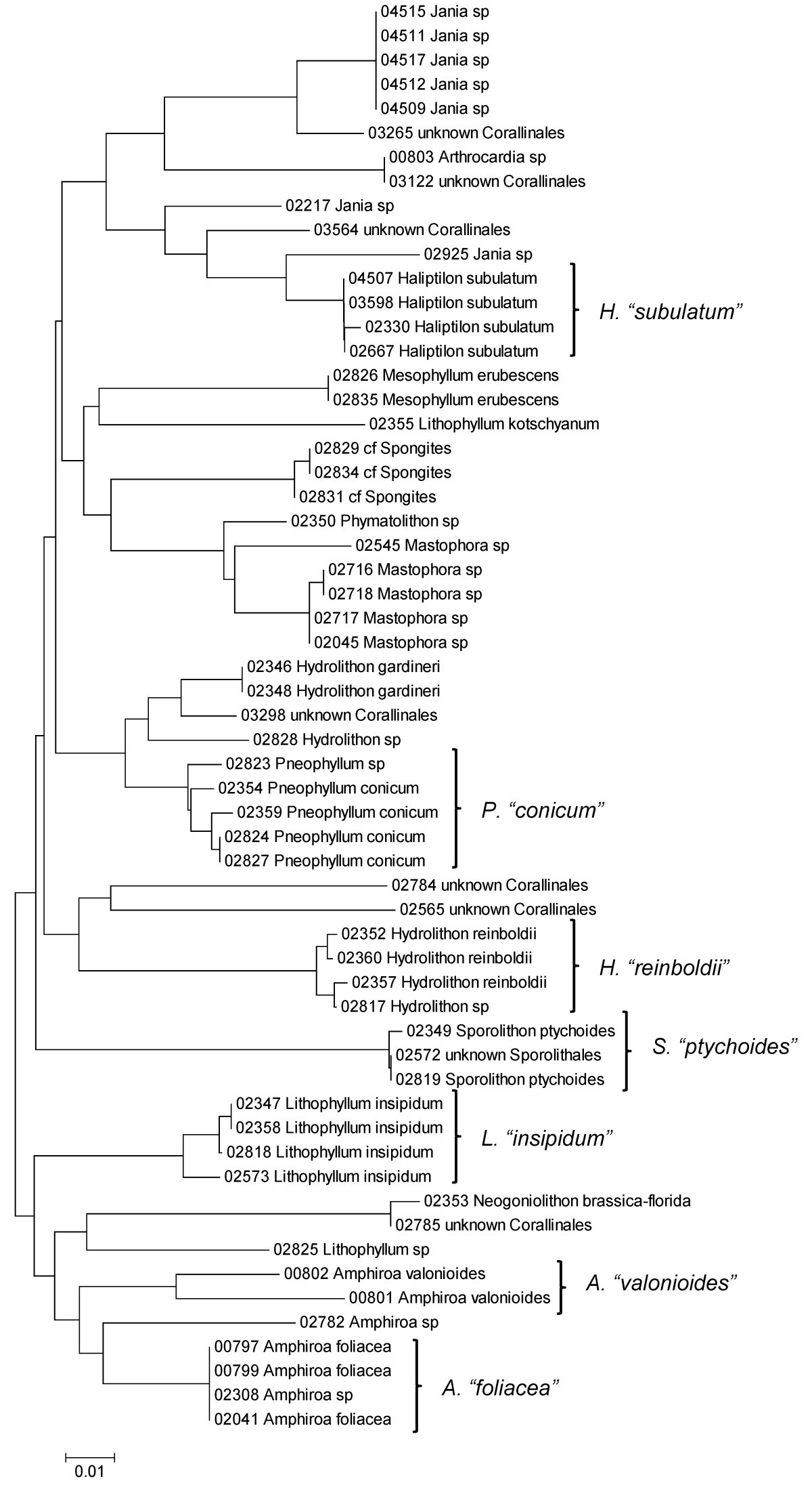 Figure 14