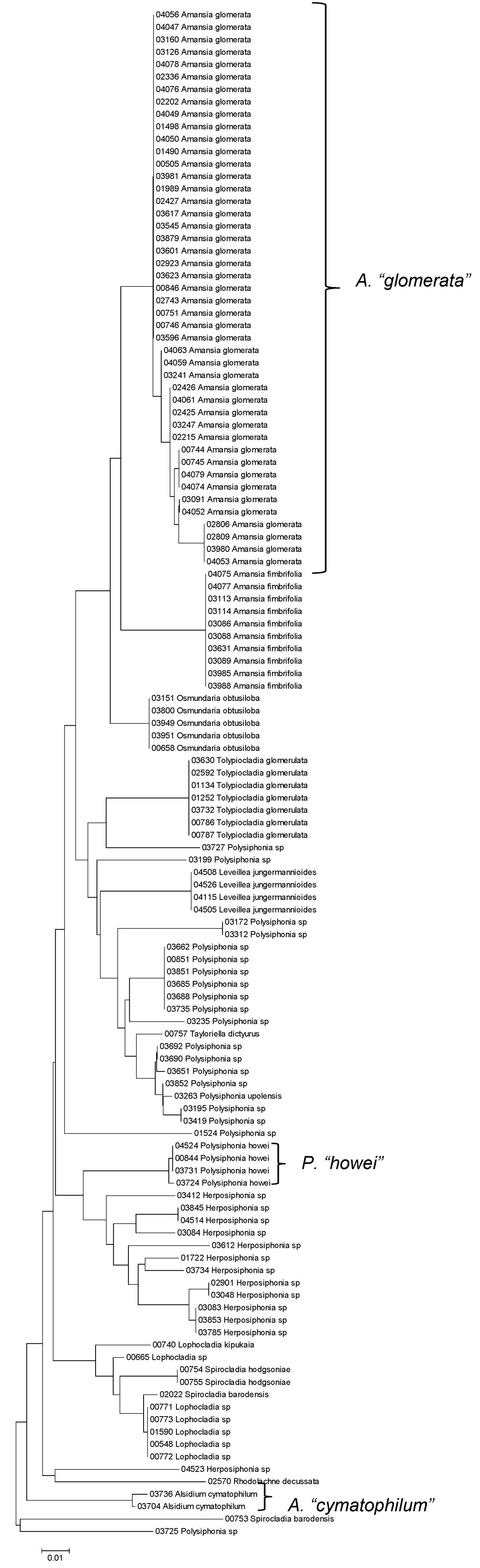 Figure 38