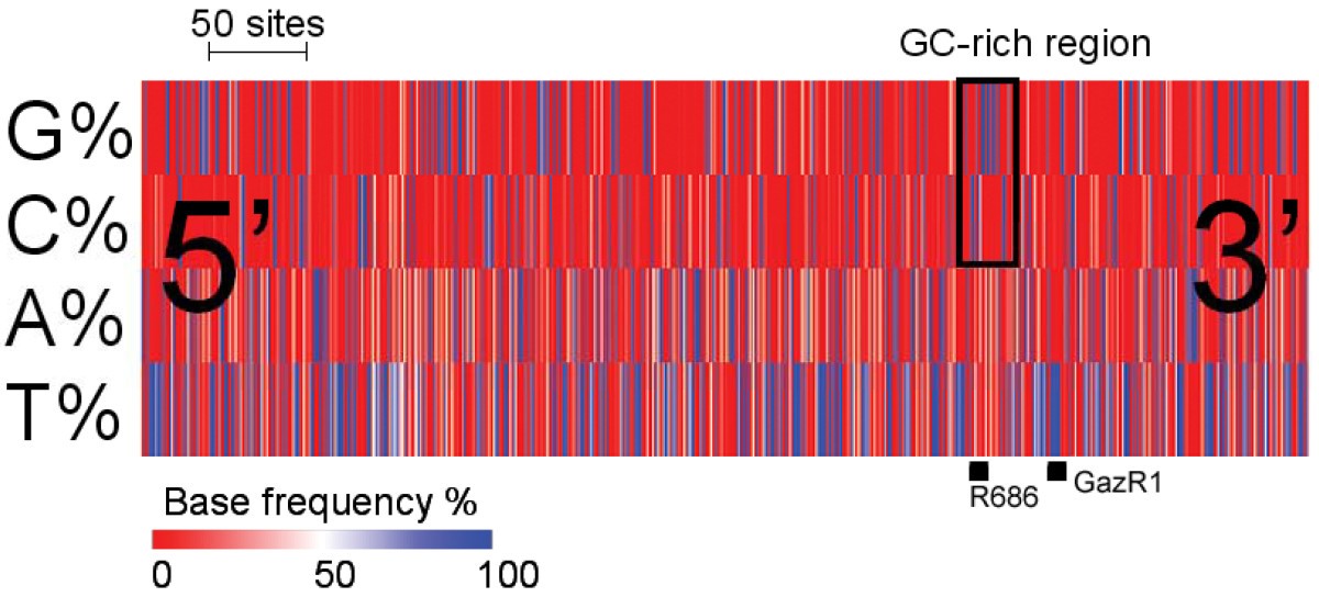 Figure 42