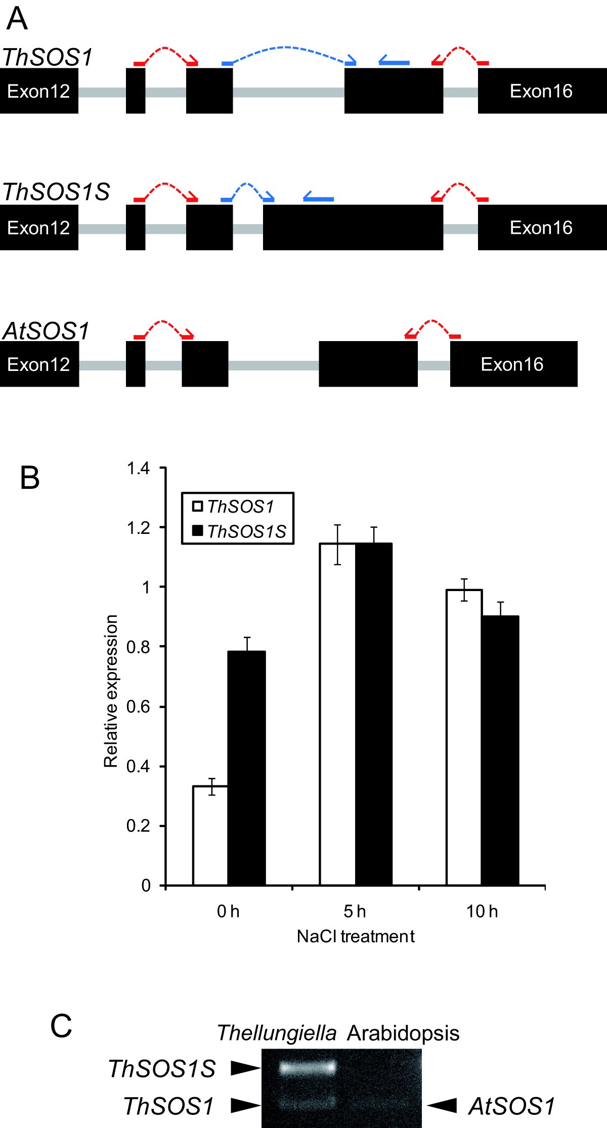 Figure 5