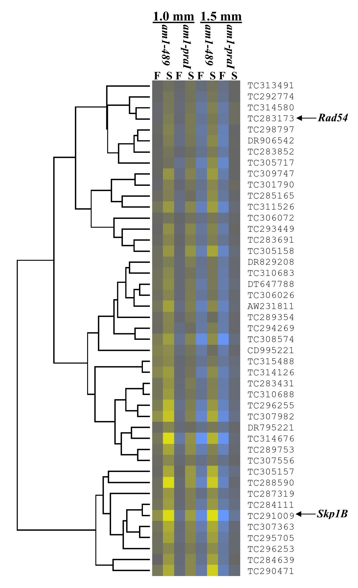 Figure 7