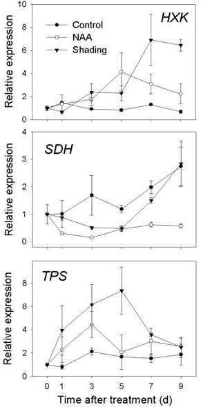 Figure 9