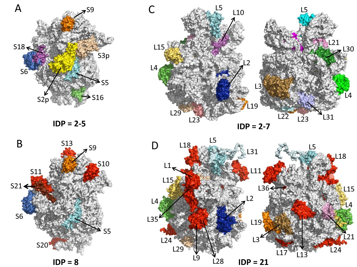 Figure 5