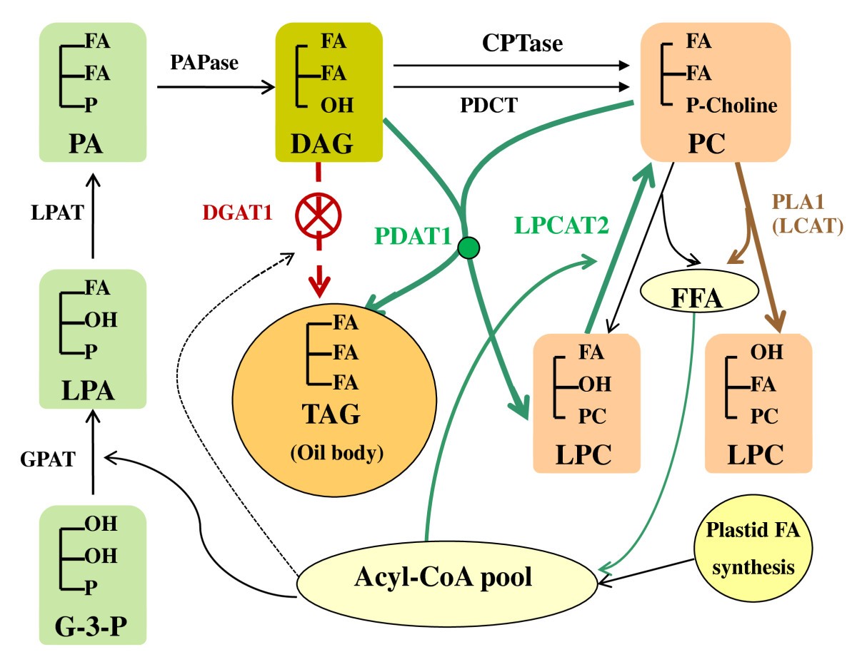 Figure 16