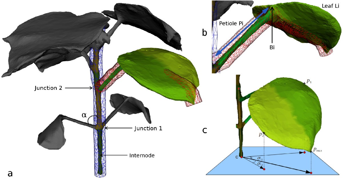 Figure 4