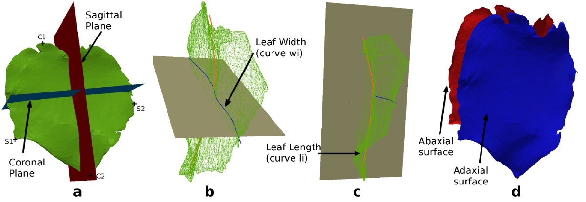 Figure 5