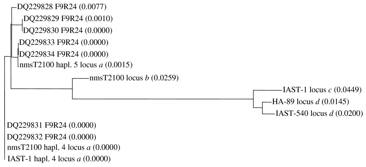 Figure 6