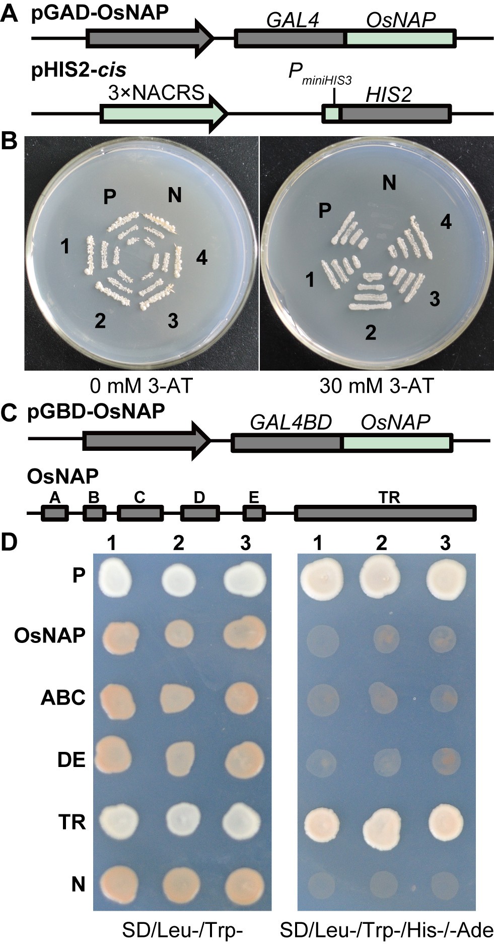 Figure 2