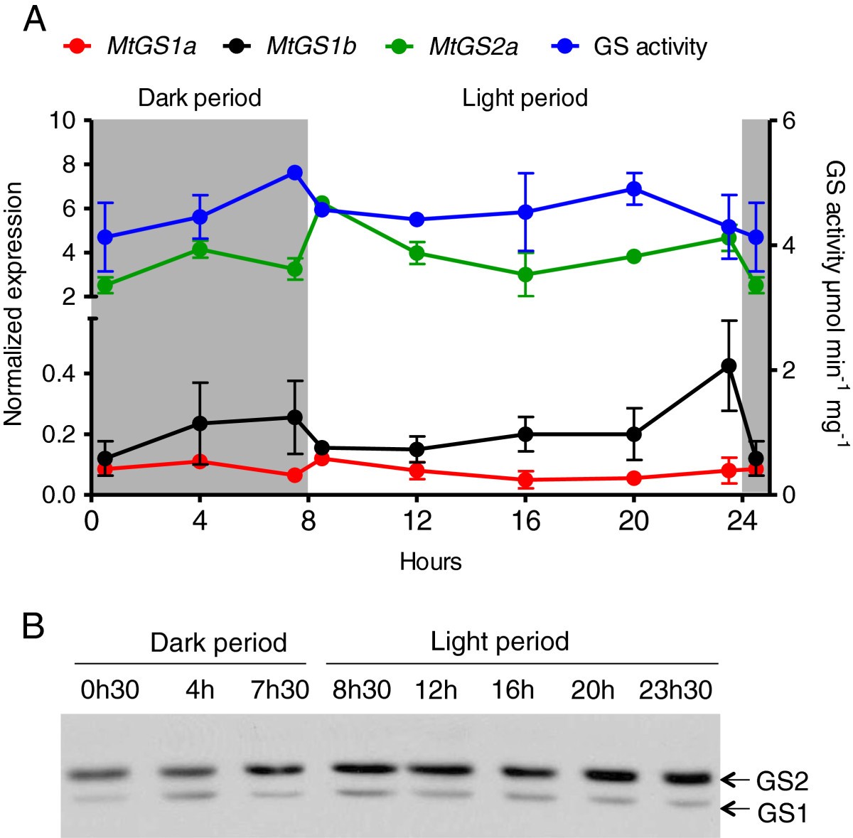 Figure 5