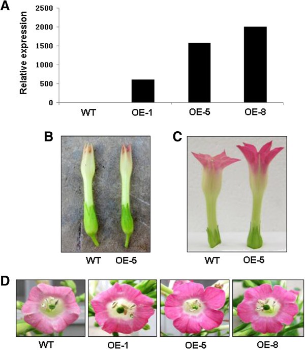 Figure 5