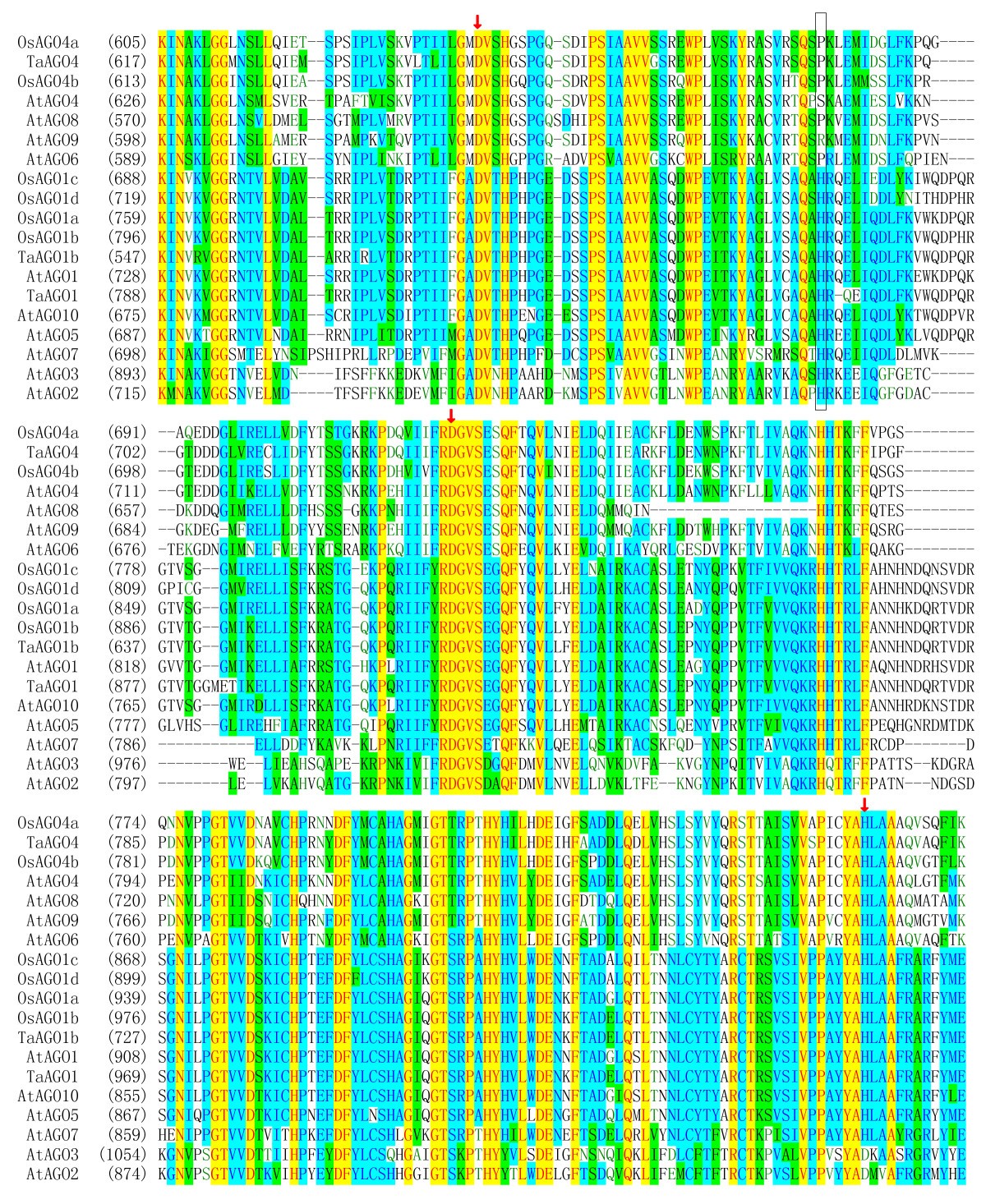 Figure 4