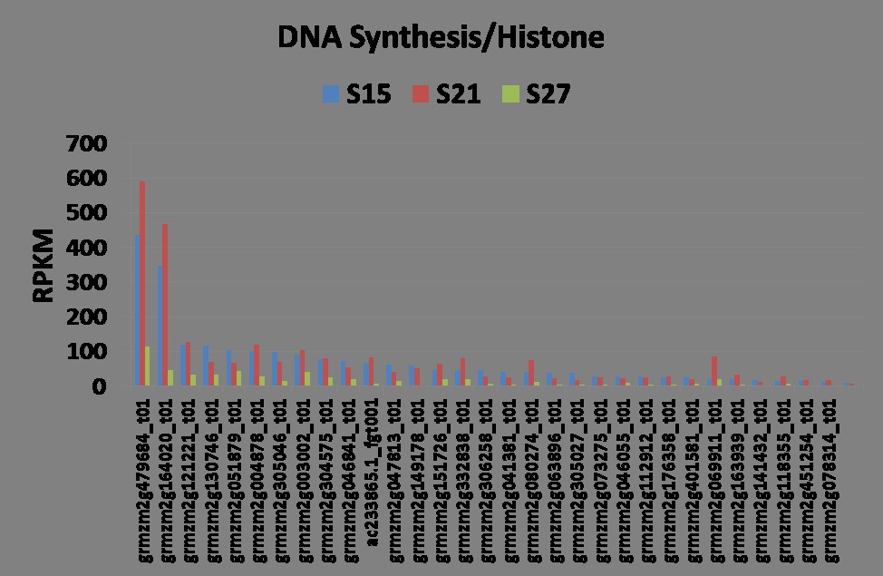 Figure 11