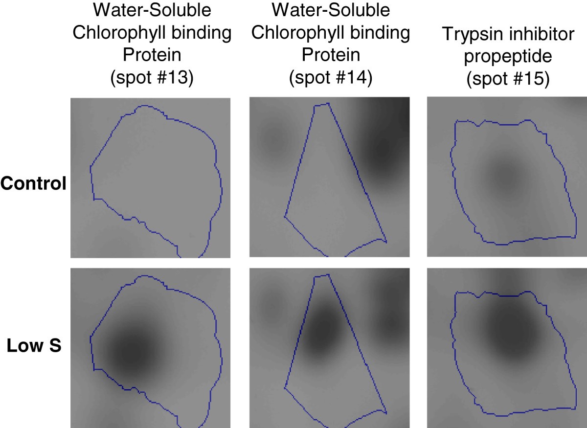 Figure 7