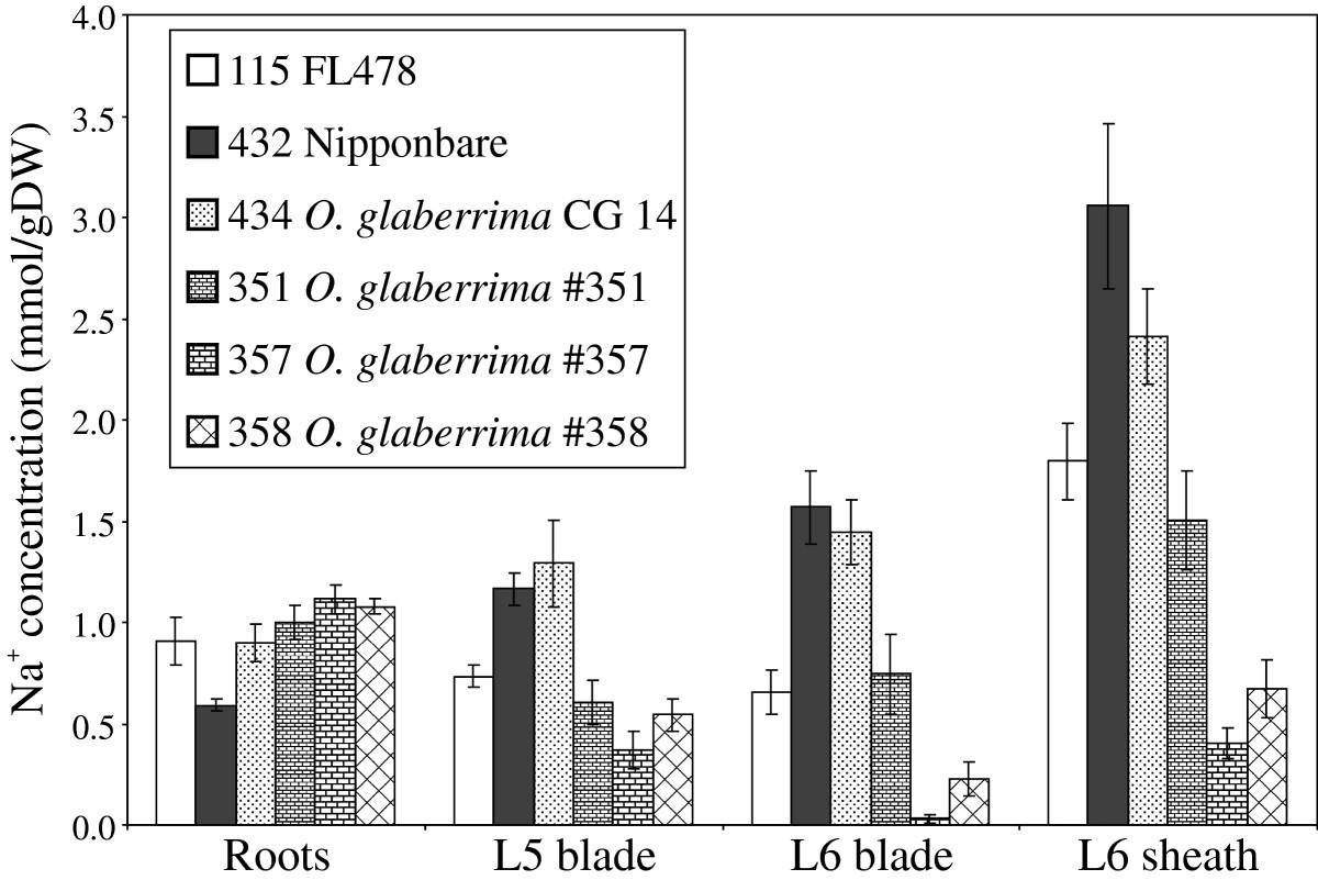 Figure 7