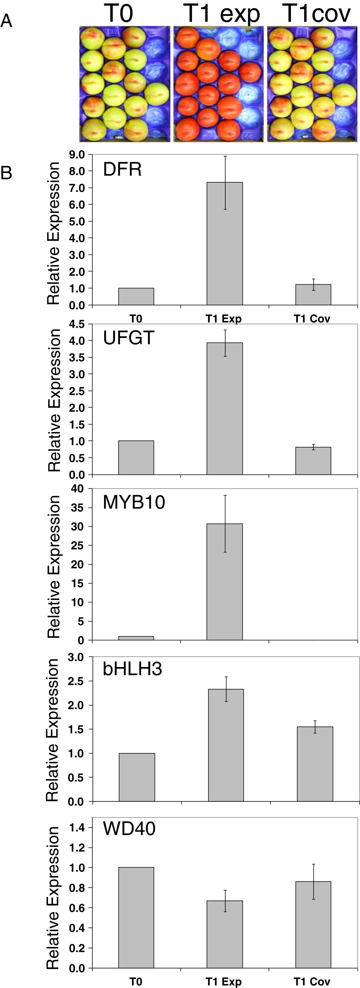 Figure 10