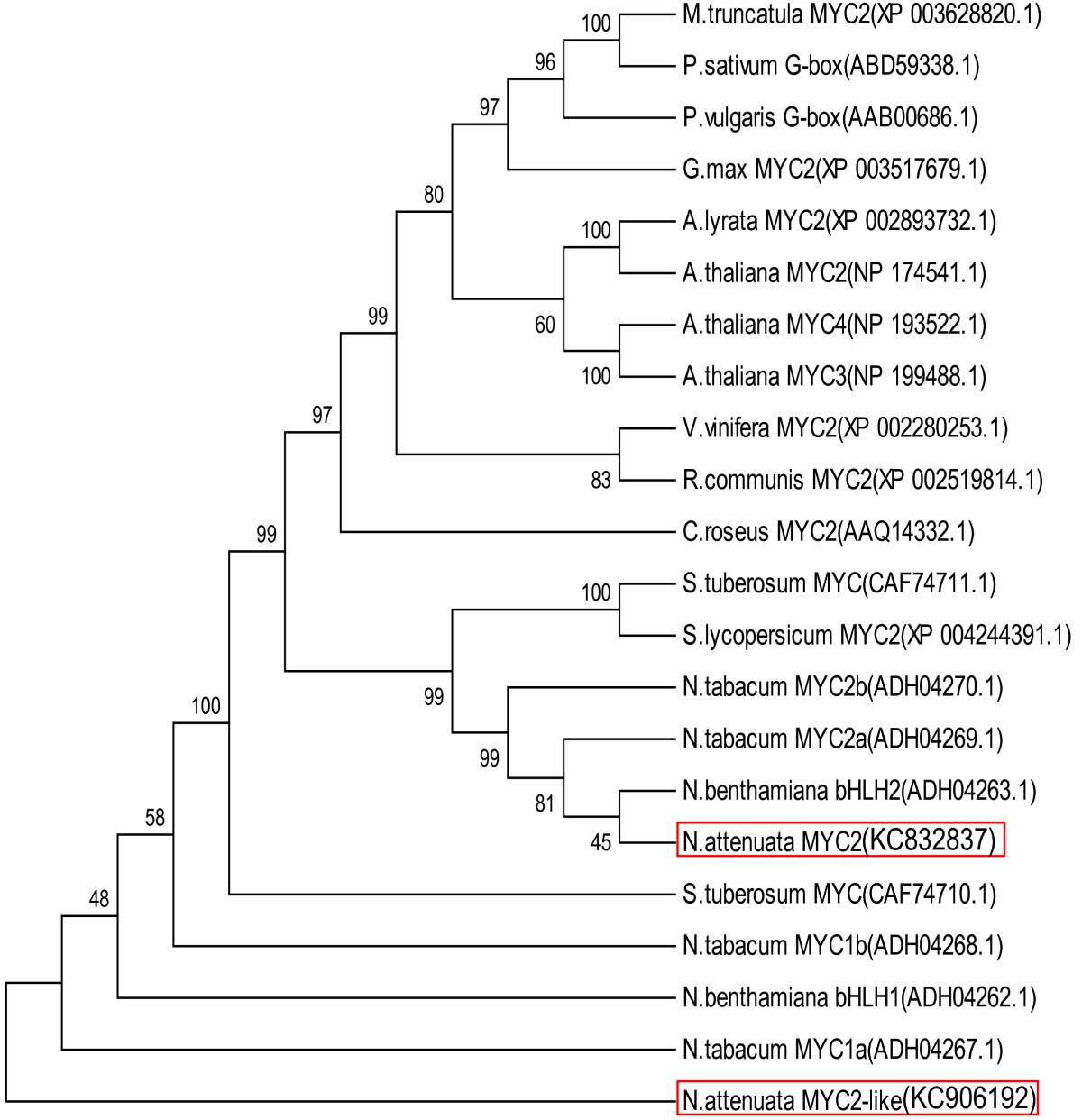 Figure 1