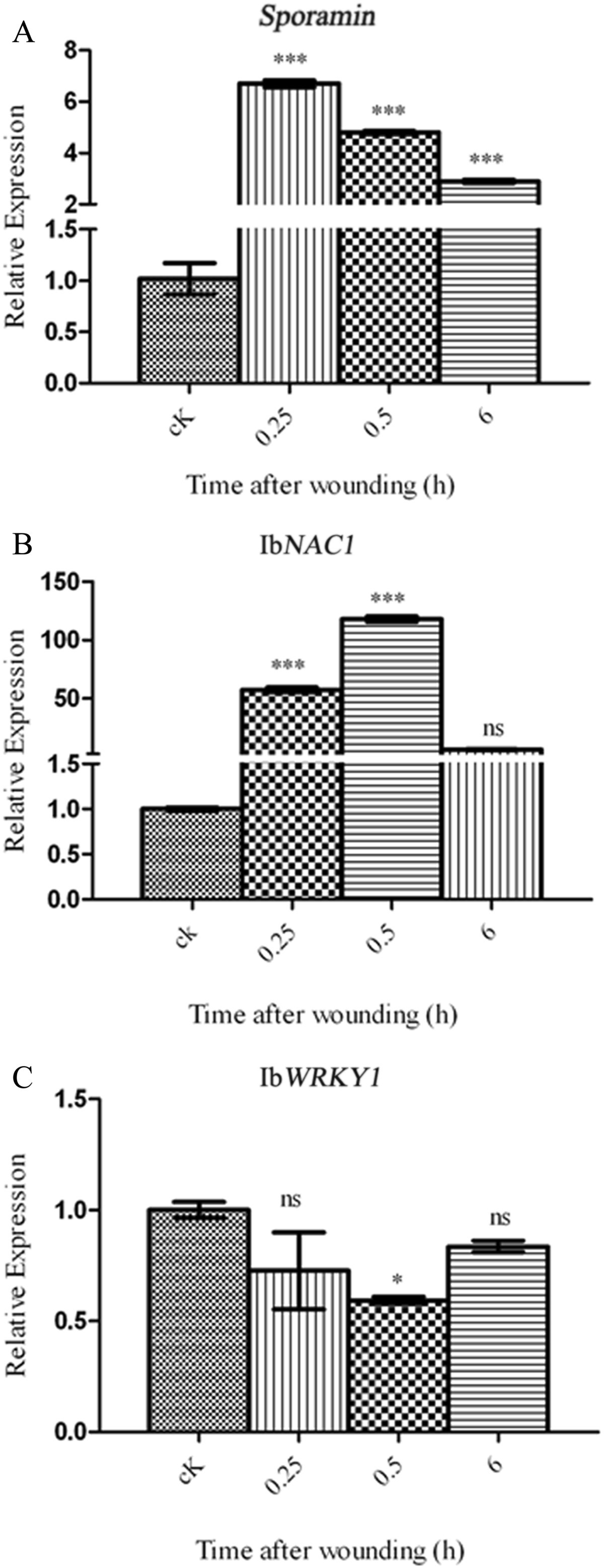 Figure 5