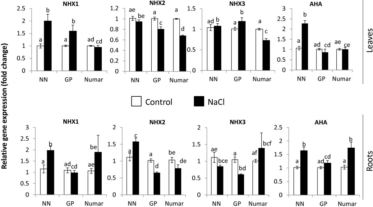 Figure 7