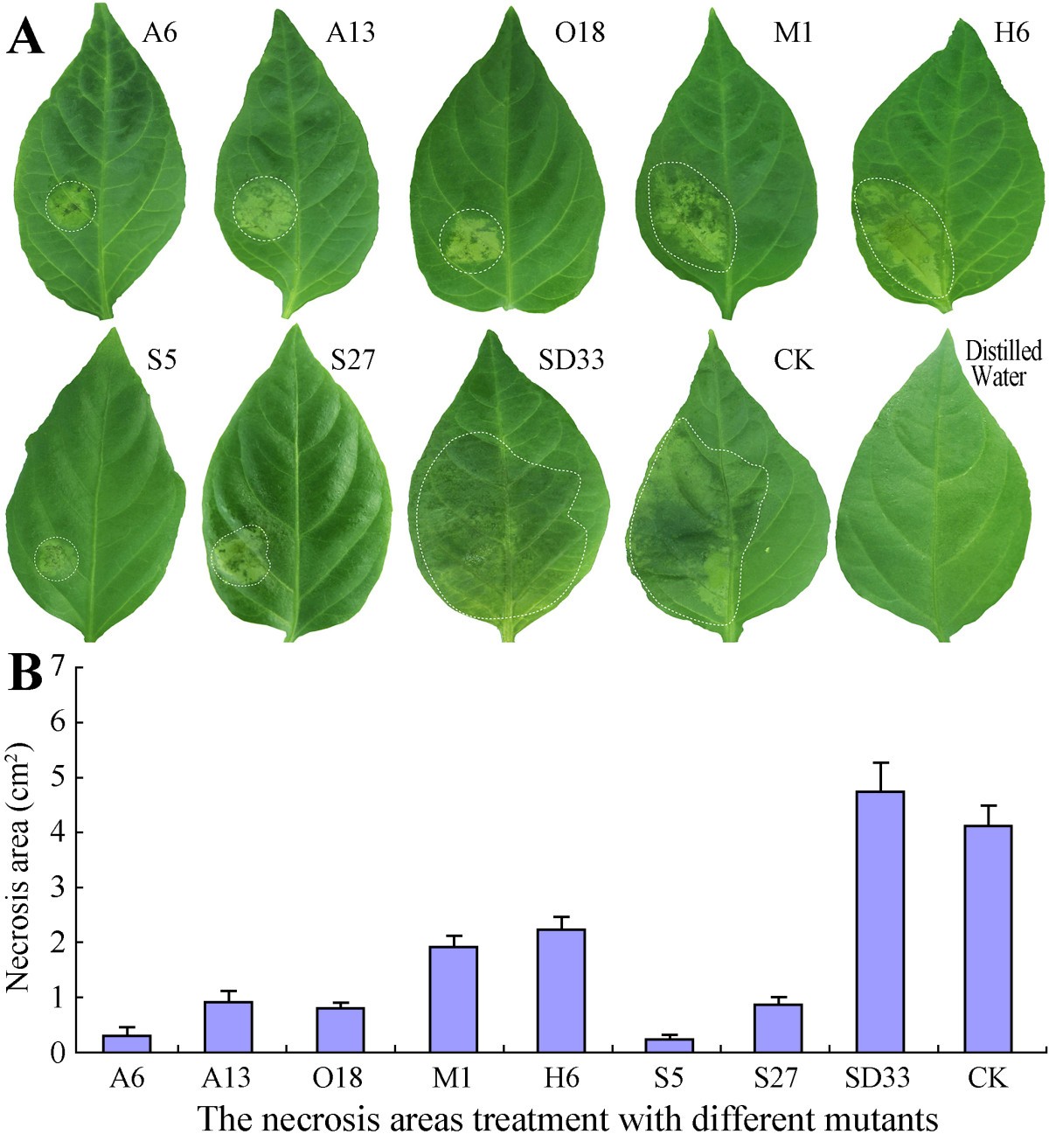 Figure 6