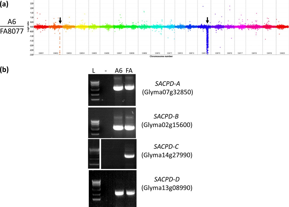 Figure 6