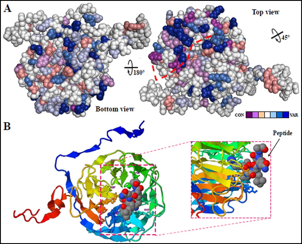 Figure 6