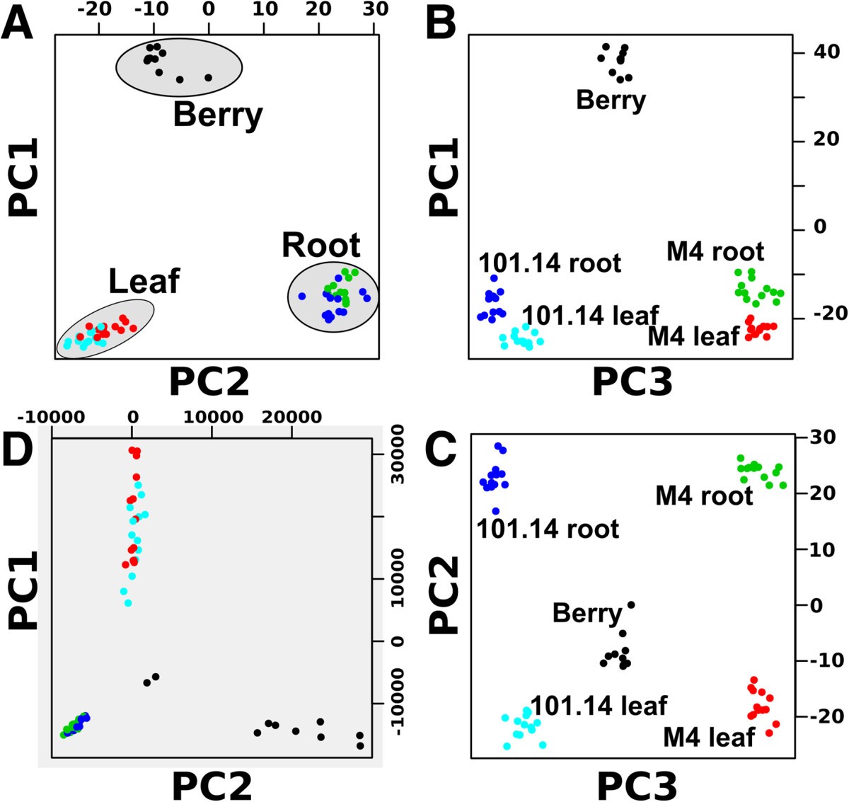 Figure 5