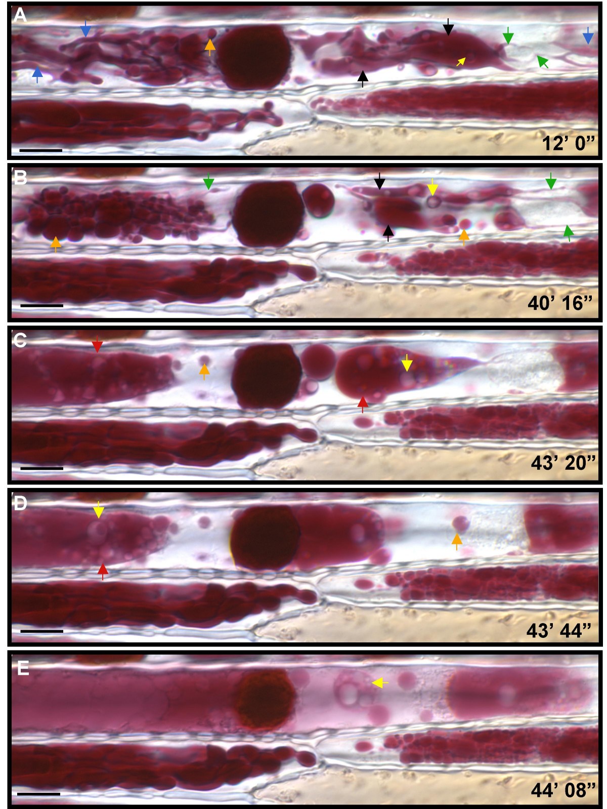 Figure 10