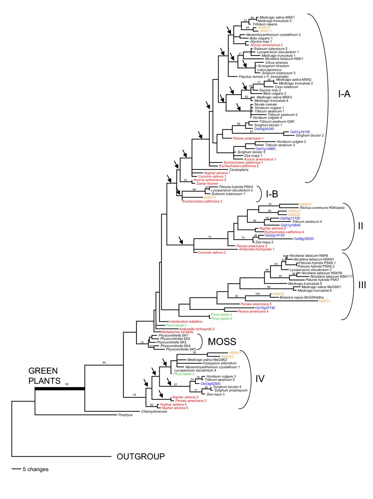 Figure 7