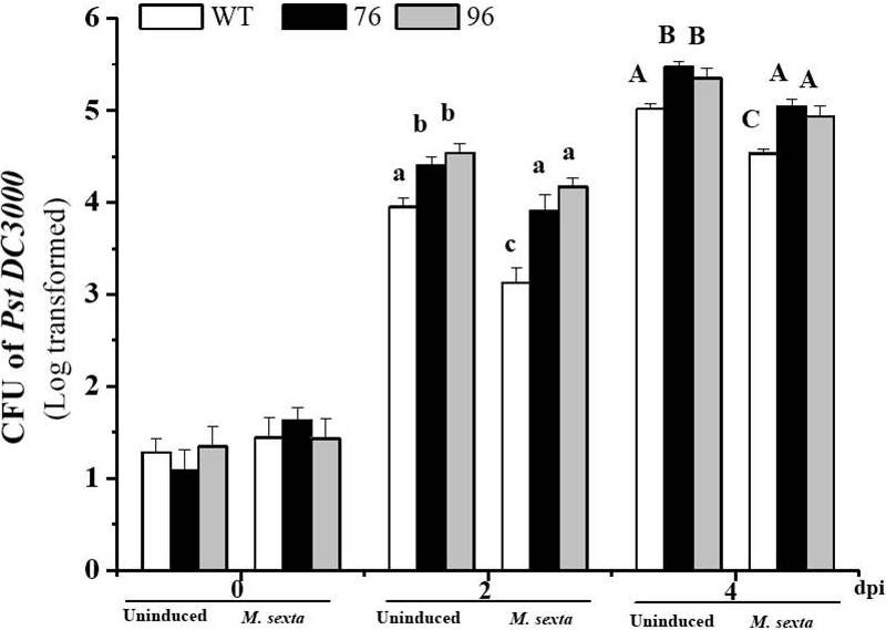 Figure 5