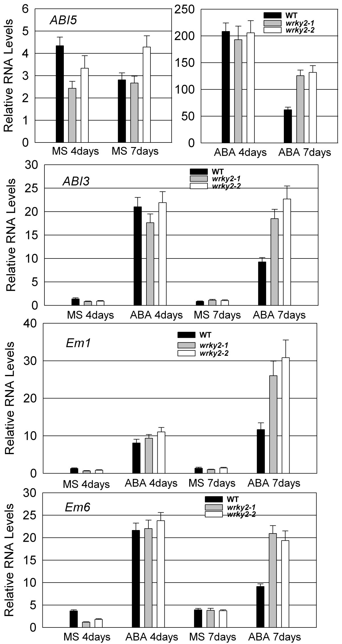 Figure 6