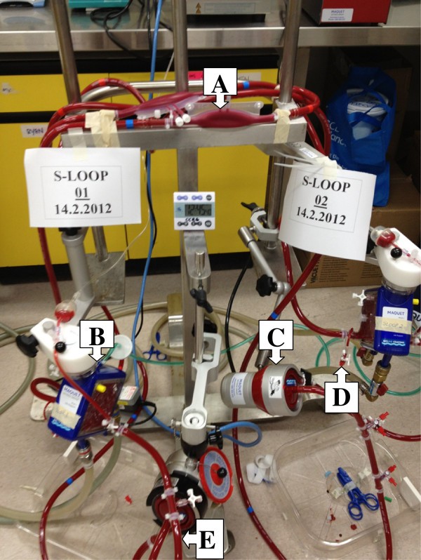 Figure 5