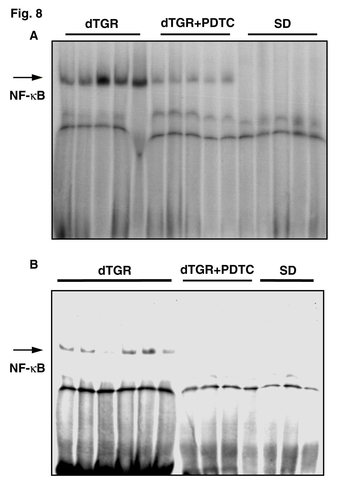 Figure 23