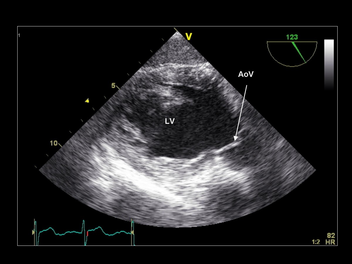 Figure 24