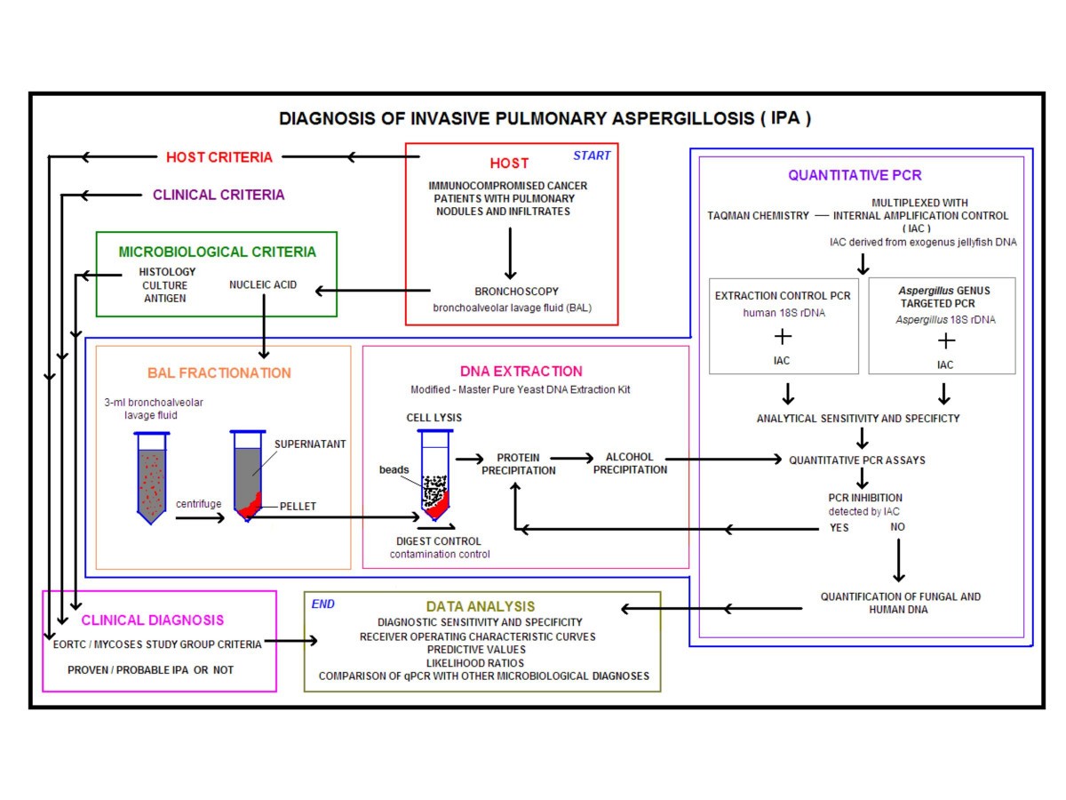 Development and optimization of quantitative PCR for the diagnosis of