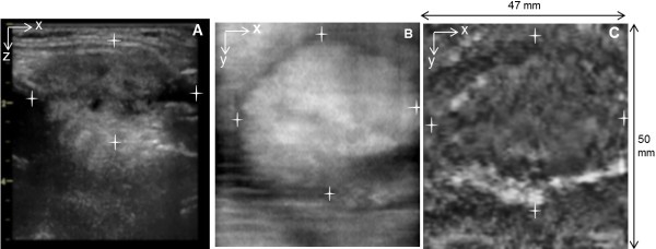 Figure 6