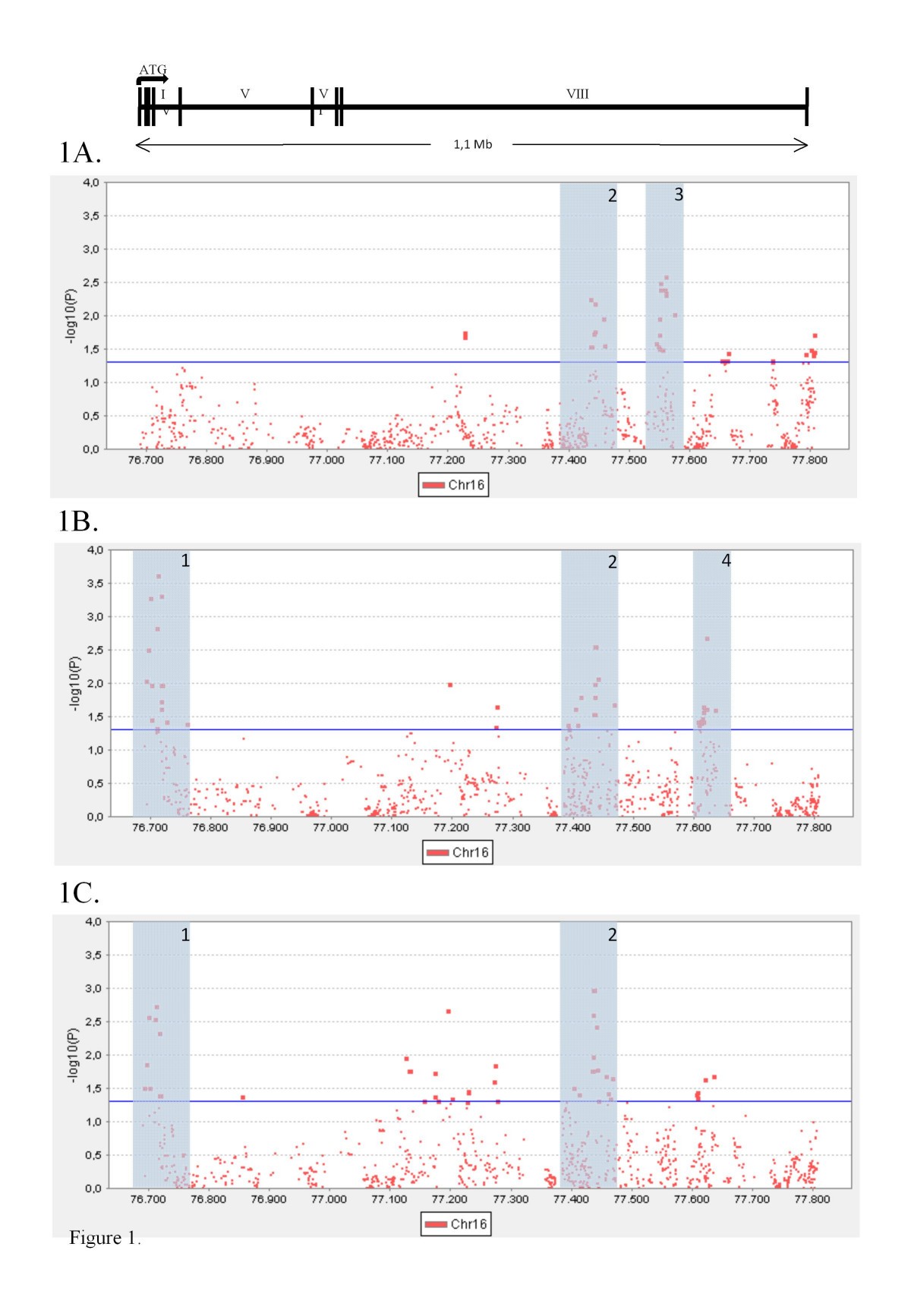 Figure 1