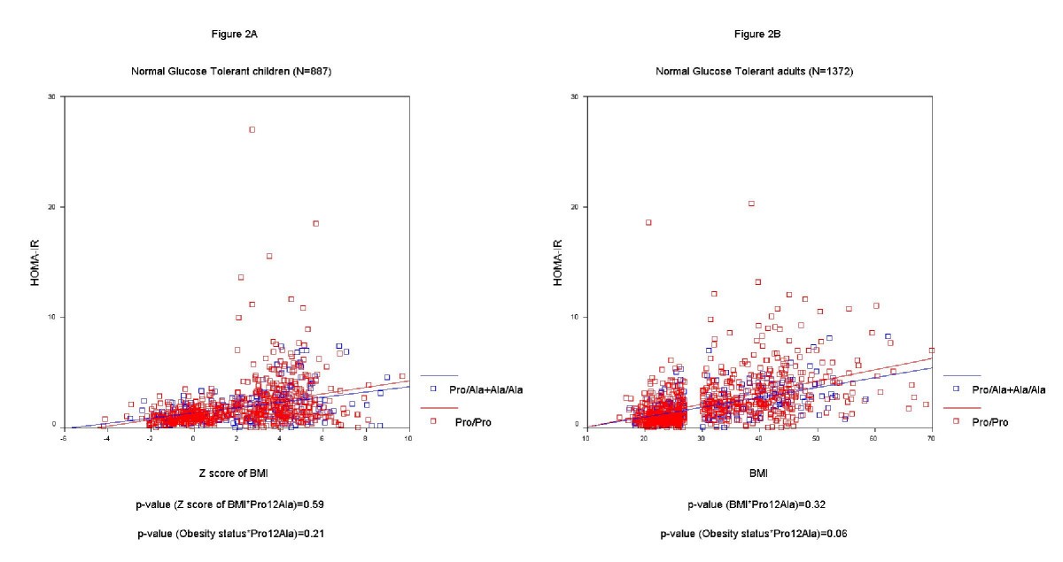 Implication Of The Pro12ala Polymorphism Of The Ppar Gamma 2 Gene