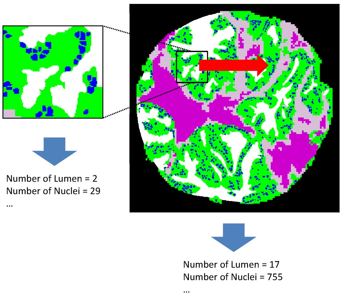 Figure 7