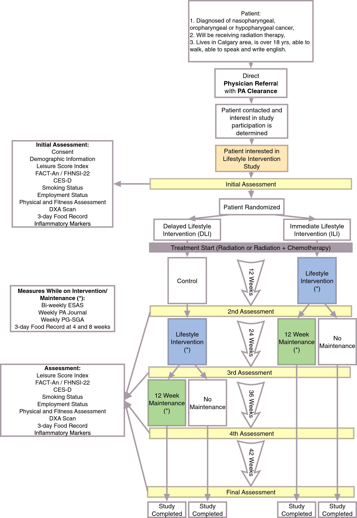 Synopsis Physical training in the middle group: design features Synopsis Physical training in the middle group: design features