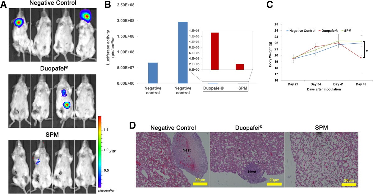 Figure 11