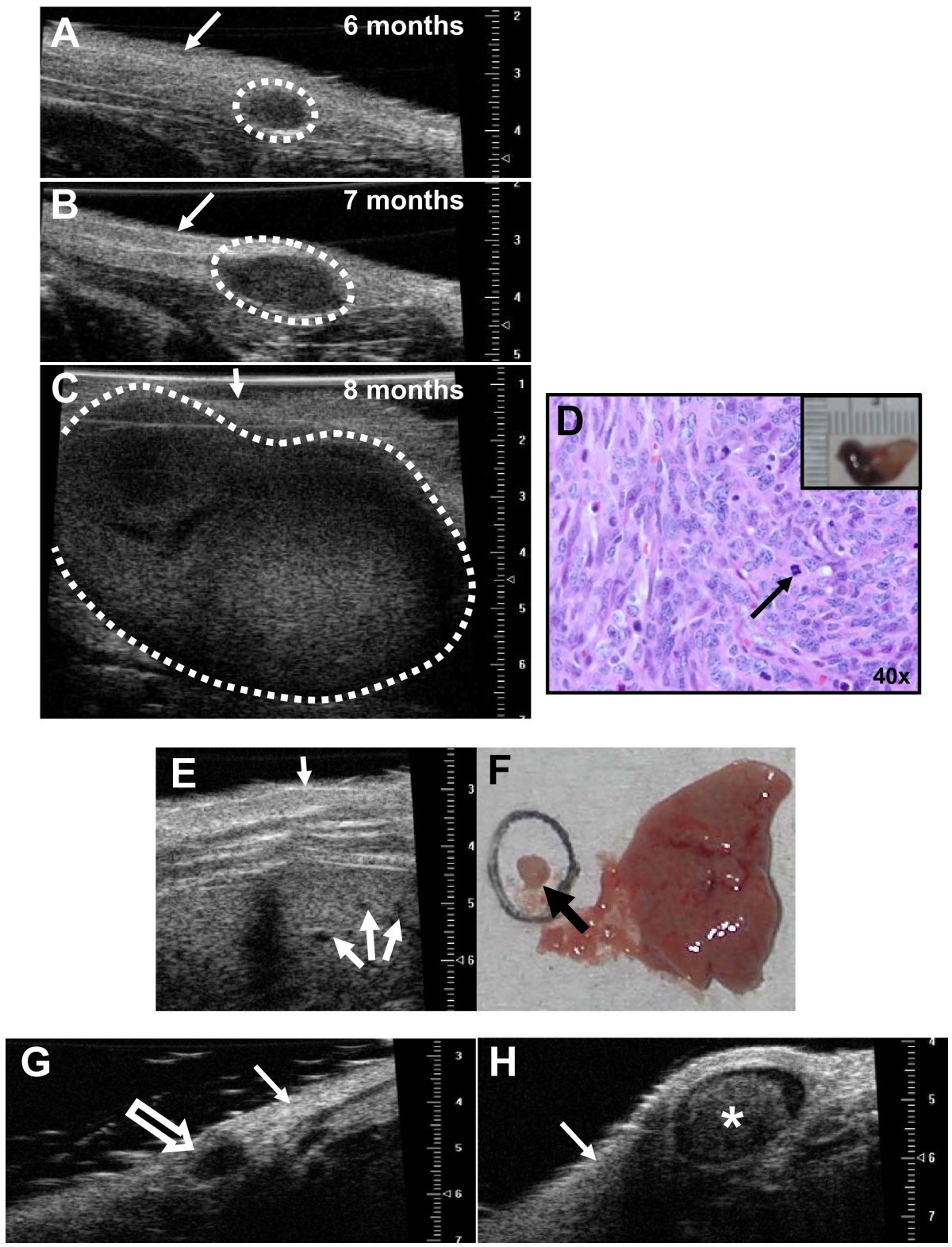 Figure 7