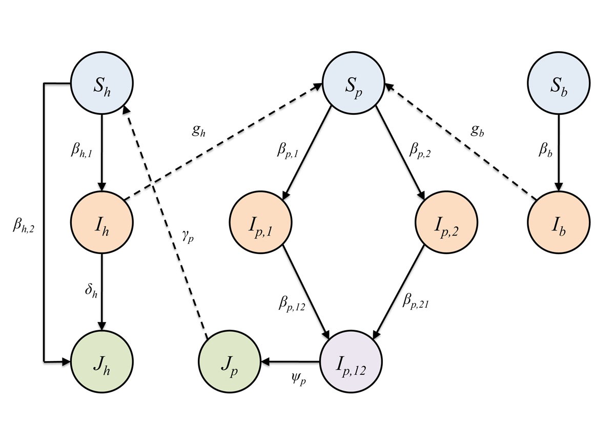 Fig. 1