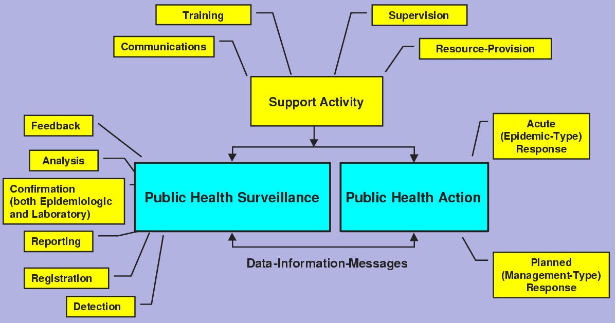 Supports framework. Conceptual Framework. Health Surveillance. Resource provision. Public Health Surveillance structure.