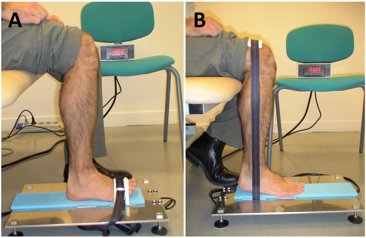 Ankle dorsi- and plantar-flexion torques measured by dynamometry