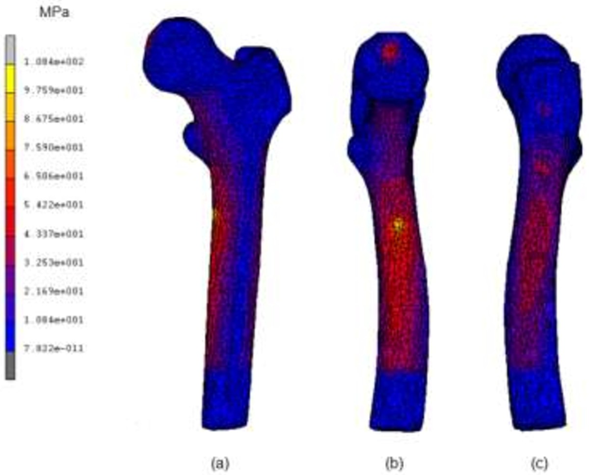 Figure 8