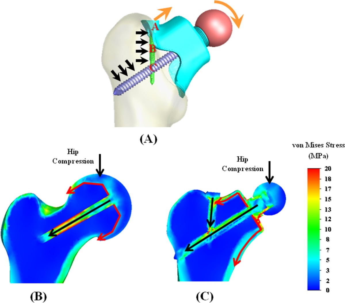 Figure 6