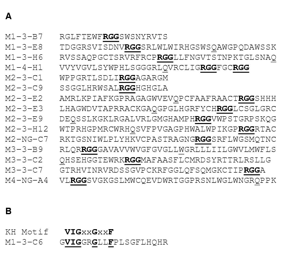 Figure 1a