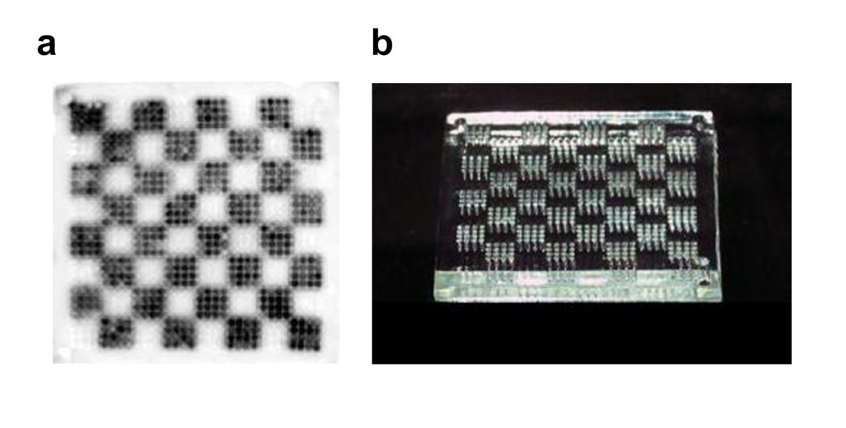 Figure 4