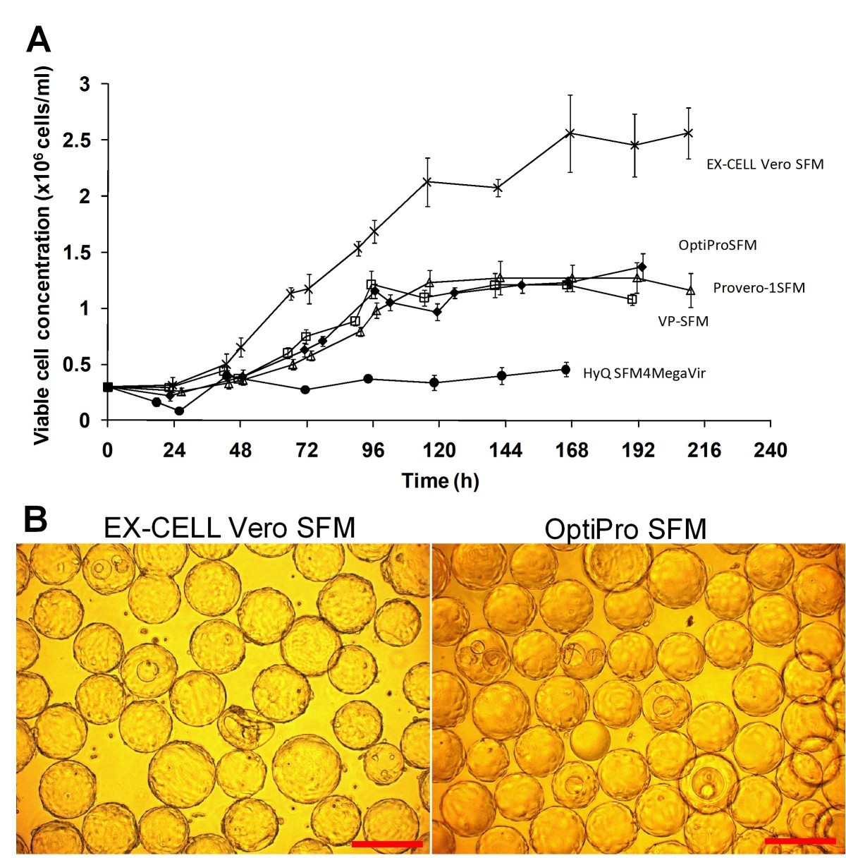 Serum Free Microcarrier Based Production Of Replication Deficient Influenza Vaccine Candidate Virus Lacking Ns1 Using Vero Cells Bmc Biotechnology Full Text